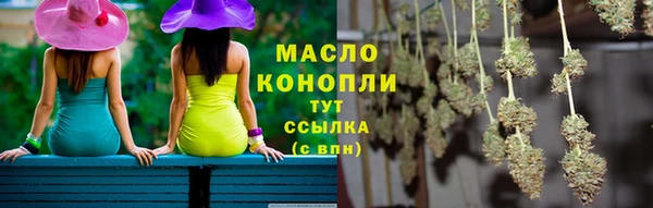 прущий лед Михайлов