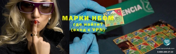 сатива Михайловск